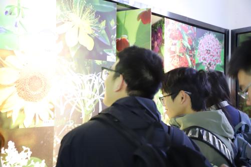 亚洲色吧